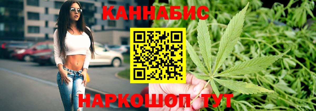 Бошки Шишки план  Вход с VPN  Марихуана гибрид  Киселёвск  Каннабис индика  Бошки Шишки сатива 