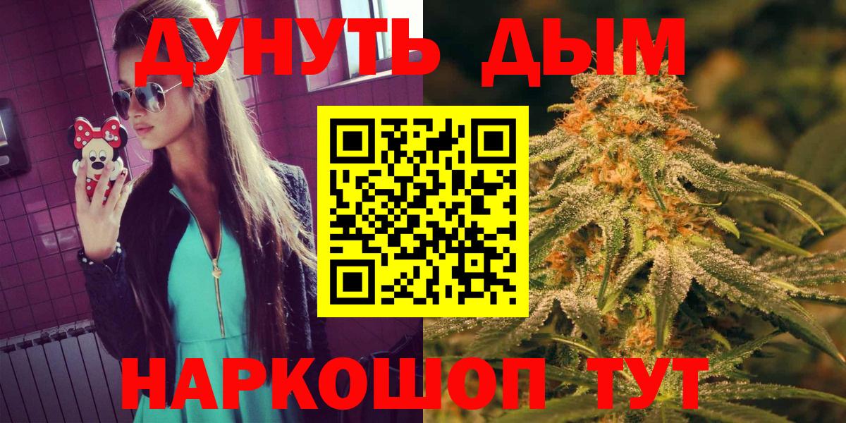 Бошки марихуана конопля Киселёвск